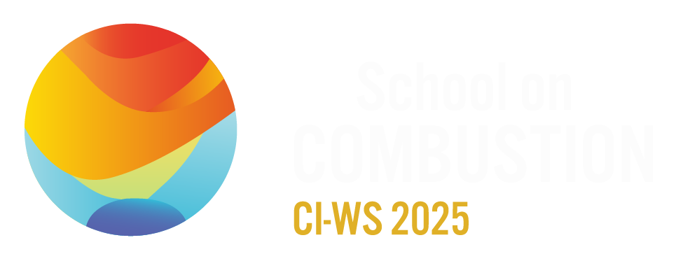 10th INTERNATIONAL COMBUSTION INSTITUTE WINTER SCHOOL